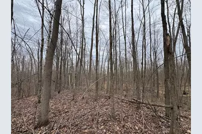 1734 N Galbraith Road, Mio, MI 48647 - Photo 69