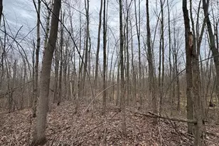 1734 N Galbraith Rd, Mio, MI 48647 - Photo 69