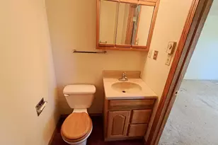 12375 Musbach Rd, Munith, MI 49259 - Photo 11