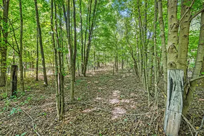 V/L 56th Avenue, Paw Paw, MI 49079 - Photo 3