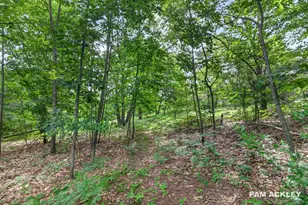 3125 Meyers Ave, New Era, MI 49446 - Photo 51