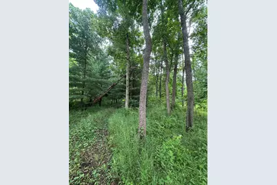 14765 Millard Road, Three Rivers, MI 49093 - Photo 7