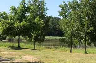 6301 S Stiles Rd, Pentwater, MI 49449 - Photo 41