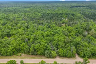 4616 Chalker Rd, Wellston, MI 49689 - Photo 23