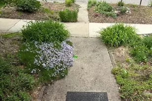 213 W Summit St, Ann Arbor, MI 48103 - Photo 9