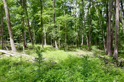 10041 Birch Drive, Riverdale, MI 48877 - Photo 59