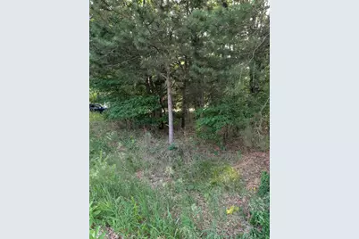 Ramona Drive #lot 14, Manistee, MI 49660 - Photo 3