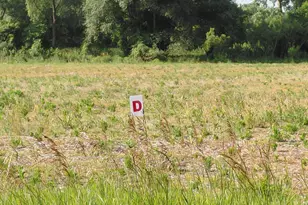 Stony Lake Rd, Jackson, MI 49201 - Photo 1