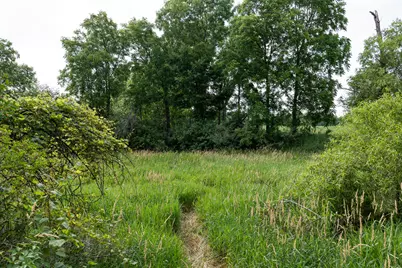 3282 Jerome Road N, North Adams, MI 49262 - Photo 27