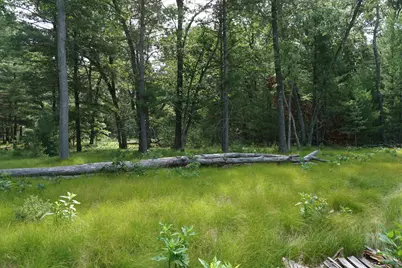 2287 W White Lake Drive, Whitehall, MI 49461 - Photo 11