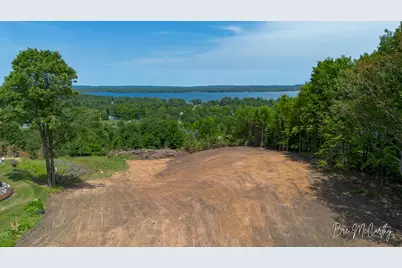 V/L Spruce Ridge Road, Bear Lake, MI 49614 - Photo 7