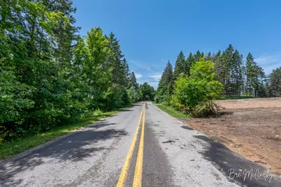 V/L Spruce Ridge Road, Bear Lake, MI 49614 - Photo 17