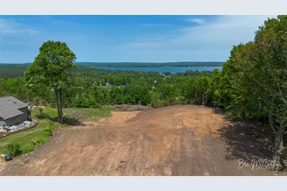 V/L Spruce Ridge Road, Bear Lake, MI 49614 - Photo 3