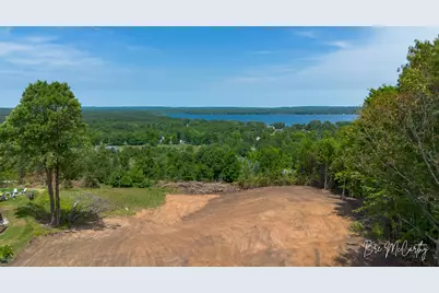 V/L Spruce Ridge Road, Bear Lake, MI 49614 - Photo 11