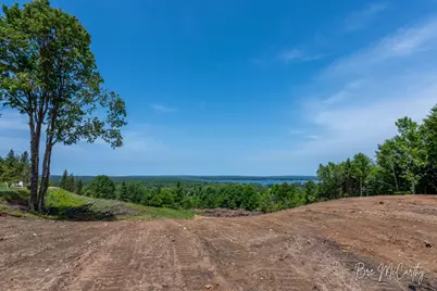 V/L Spruce Ridge Road, Bear Lake, MI 49614 - Photo 21
