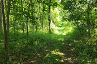 35176 Mill Lake Rd, Gobles, MI 49055 - Photo 27