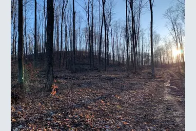 0 Off Of Chief Road, Bear Lake, MI 49614 - Photo 3