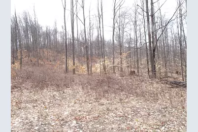 M Chief Road, Bear Lake, MI 49614 - Photo 1