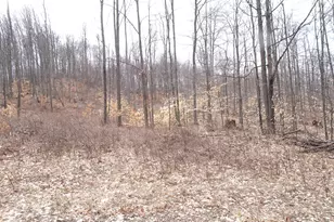 M Chief Rd, Bear Lake, MI 49614 - Photo 1