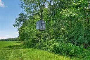 64030 Chain Lake St, Cassopolis, MI 49031 - Photo 51
