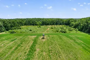 64030 Chain Lake St, Cassopolis, MI 49031 - Photo 33