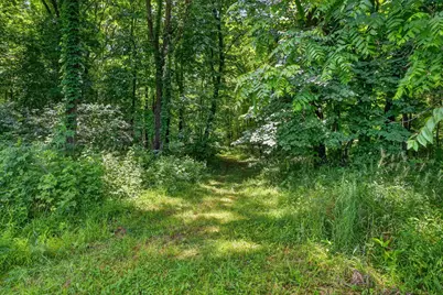 64030 Chain Lake Street, Cassopolis, MI 49031 - Photo 53