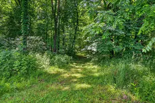 64030 Chain Lake St, Cassopolis, MI 49031 - Photo 53
