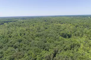 34268 Co Rd 653, Paw Paw, MI 49079 - Photo 29