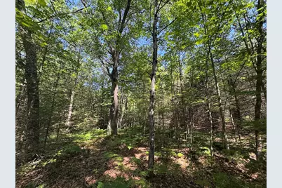S Loxley Road, Houghton Lake, MI 48629 - Photo 17