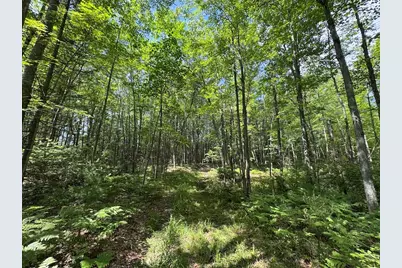 S Loxley Road, Houghton Lake, MI 48629 - Photo 9