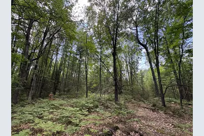 S Loxley Road, Houghton Lake, MI 48629 - Photo 27