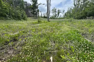 1692 N Galbraith Rd, Mio, MI 48647 - Photo 81