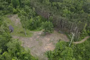 1692 N Galbraith Rd, Mio, MI 48647 - Photo 25