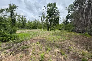 1692 N Galbraith Rd, Mio, MI 48647 - Photo 33