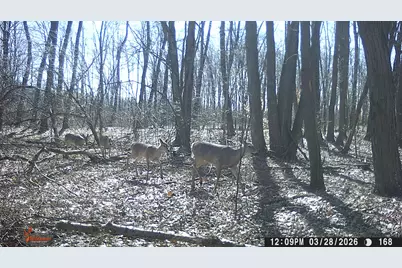 86960 County Road 681, Decatur, MI 49045 - Photo 49