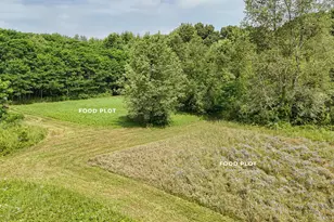 86960 Co Rd 681, Decatur, MI 49045 - Photo 45