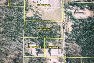 9643 S M 37, Baldwin, MI 49304 - Photo 1