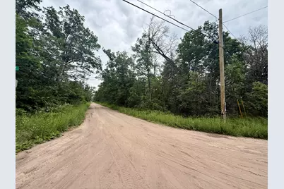 Vl Princeton Drive, Baldwin, MI 49304 - Photo 5