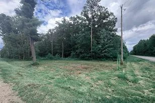 N Flint Rd, Roscommon, MI 48653 - Photo 1