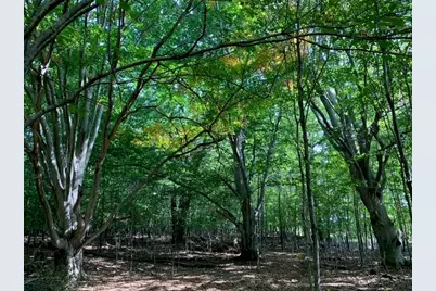 Wildwood Trail #Lot A, Manistee, MI 49660 - Photo 5