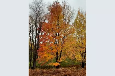 Wildwood Trail #Lot A, Manistee, MI 49660 - Photo 7