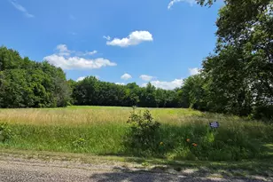 14667 S Tripp Rd, Camden, MI 49232 - Photo 27