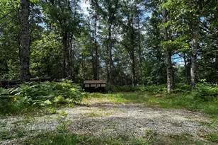 Vl W Airpark Dr, Luther, MI 49656 - Photo 1