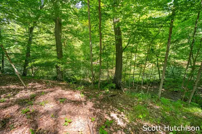 2710 12 Mile Road NE, Rockford, MI 49341 - Photo 31