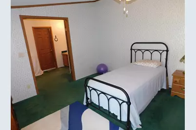 250 N Davis Street, Harrietta, MI 49638 - Photo 21