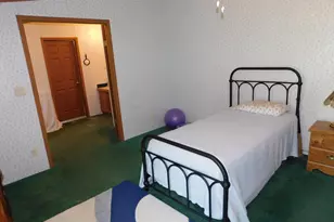 250 N Davis St, Harrietta, MI 49638 - Photo 21