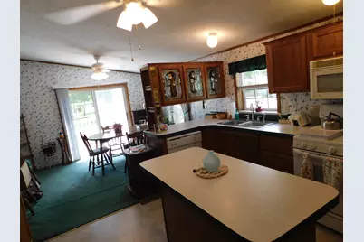 250 N Davis Street, Harrietta, MI 49638 - Photo 13