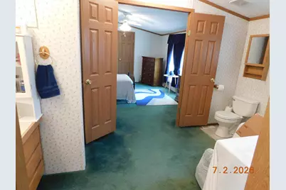 250 N Davis Street, Harrietta, MI 49638 - Photo 29