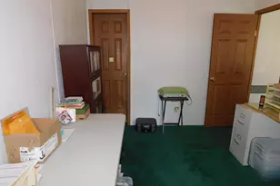 250 N Davis St, Harrietta, MI 49638 - Photo 31
