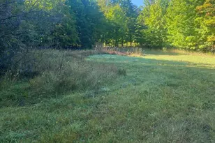 17055 Butwell Rd, Bear Lake, MI 49614 - Photo 7